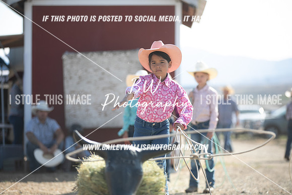 POR_0571