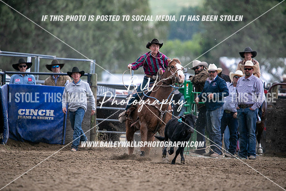 HS2_2865