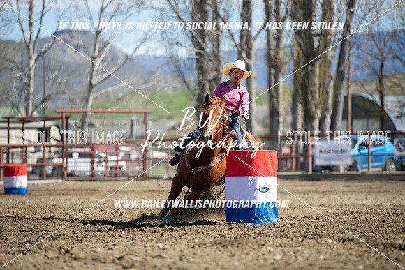 TR2_2082