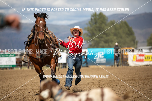 HS1_3014