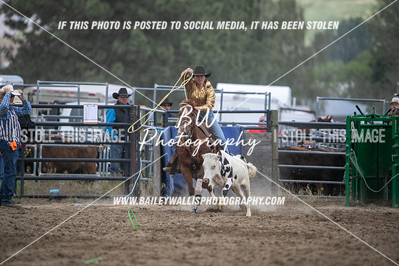 HS1_2235