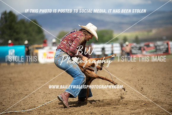 HS1_2994
