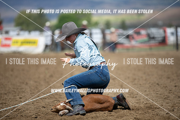 HS1_2986