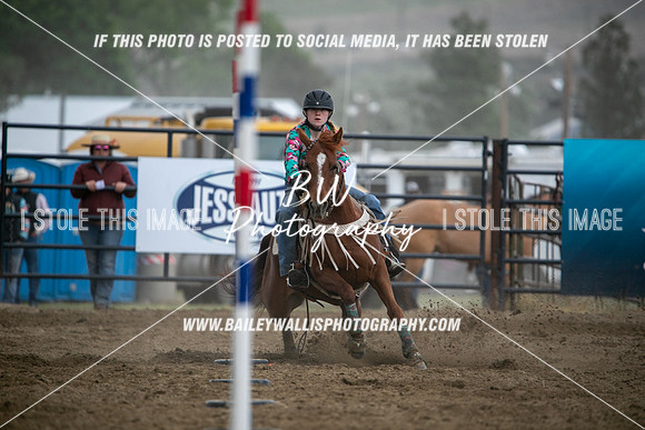 HS1_3963