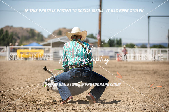 RR2_2696