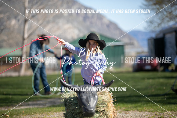 TR2_0272