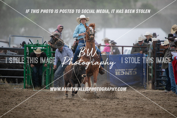 HS1_2386