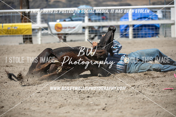 RR1_3896