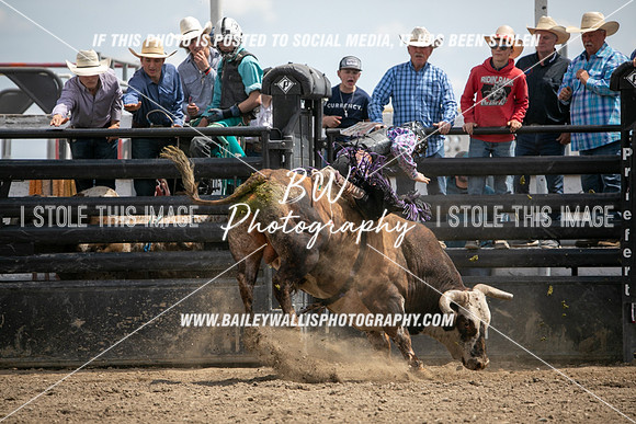 HSF_1706