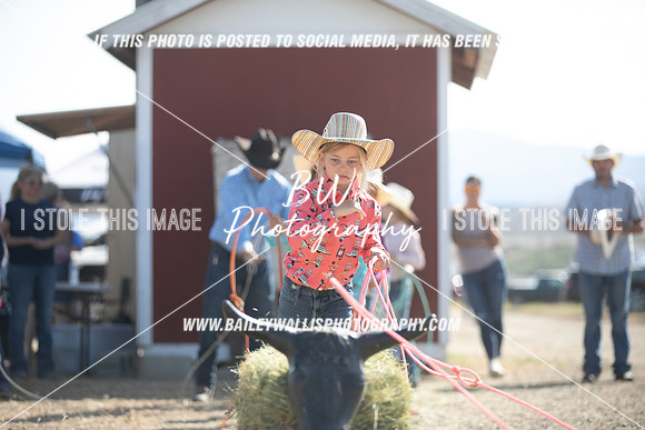 POR_0479