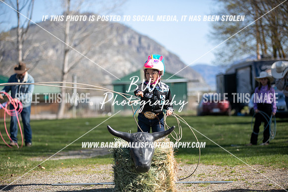 TR2_0295
