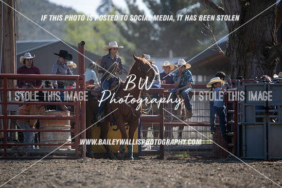 TR2_6260