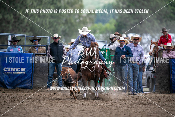 HS2_2791