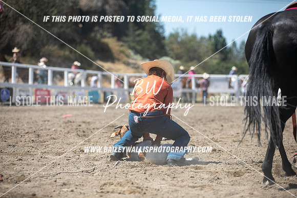 RR2_2734