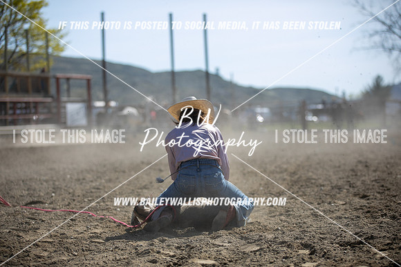 TR2_5595