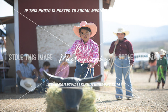 POR_0790