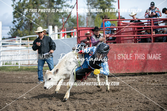 NR2_0175