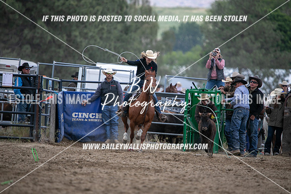 HS1_2245