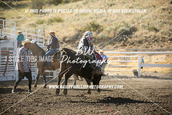 RR2_0342