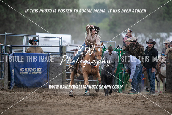 HS1_2322