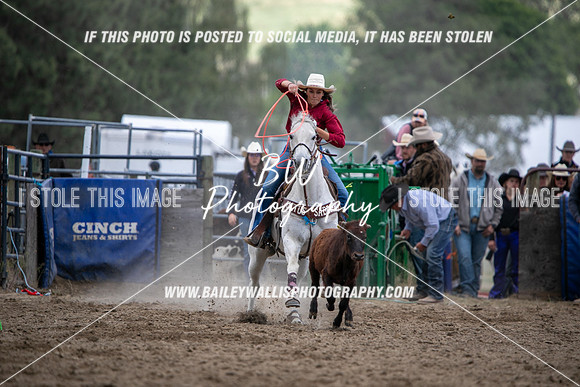 HS1_2189