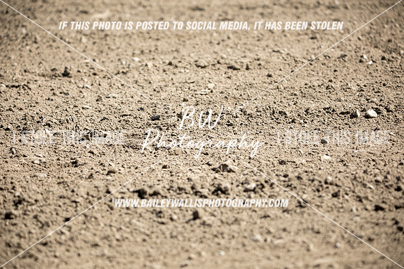 TR2_4726