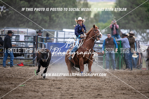 HS1_2181