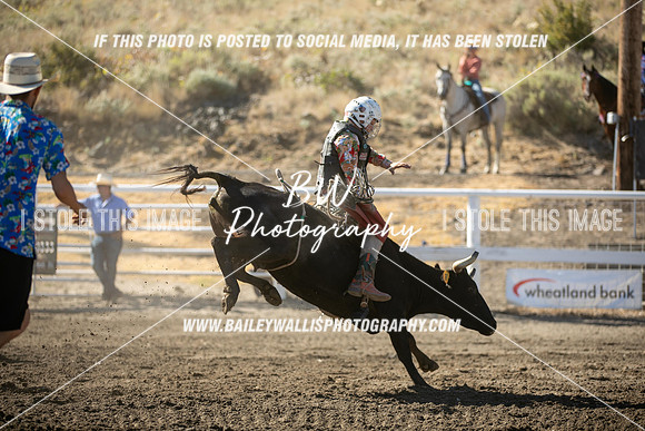 RR2_0346