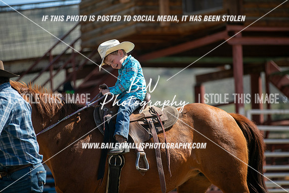 TR2_5015