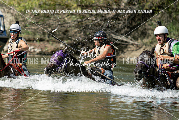 POR_0780-Edit