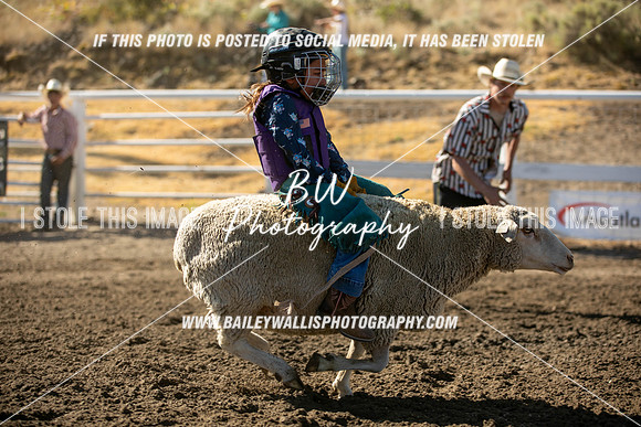 RR1_0098