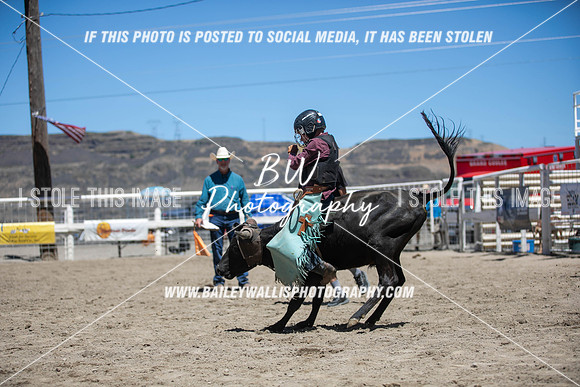 RR1_2578