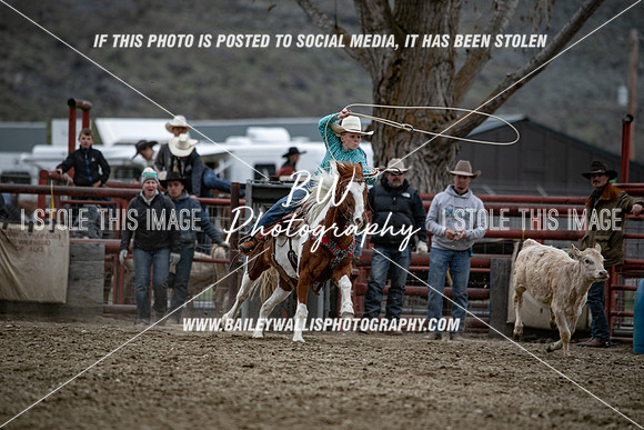 TR2_6576