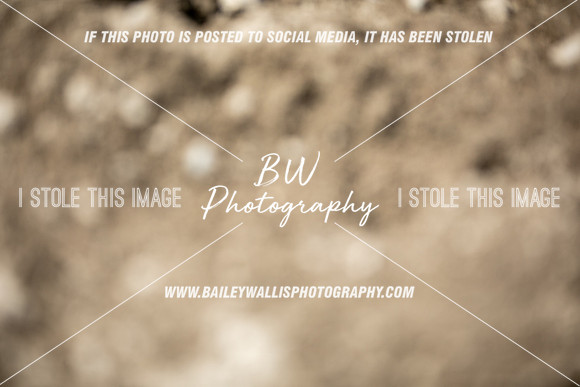 NR1_3491
