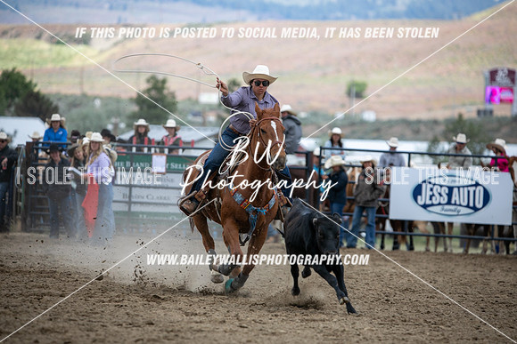HS1_2199