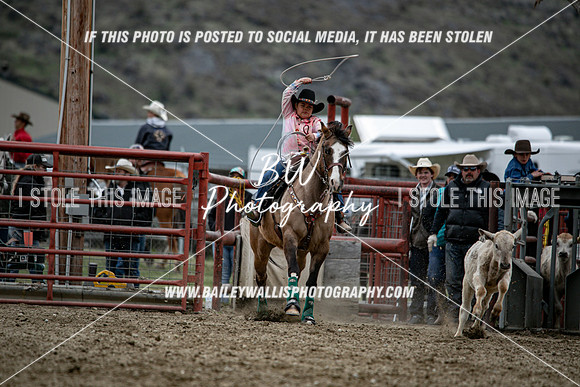 TR2_6552
