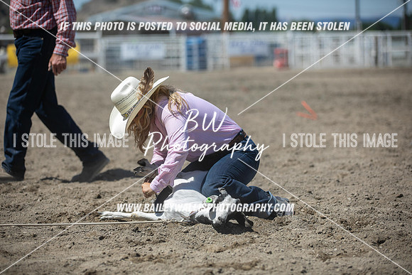 RR2_2809