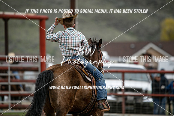 TR2_6494