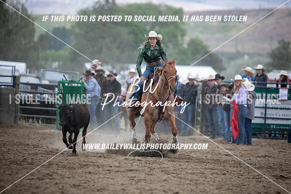 HS1_2334