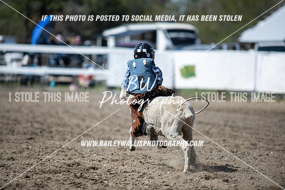 NJR_0736