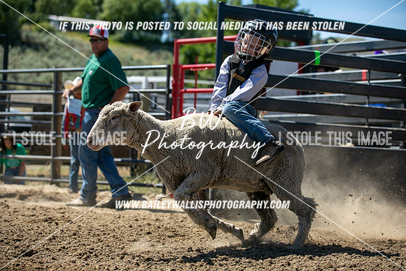 POR_0227-2