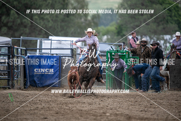 HS1_2426
