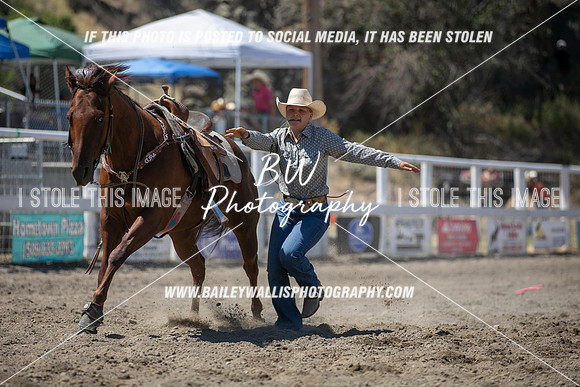 RR2_2781