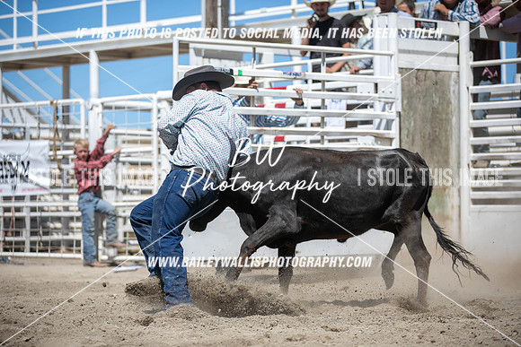 RR1_3999