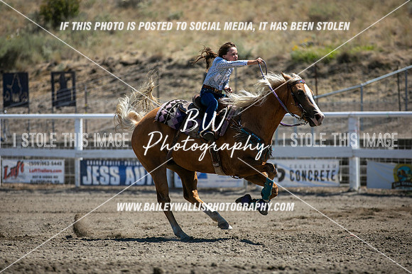 RR2_3964