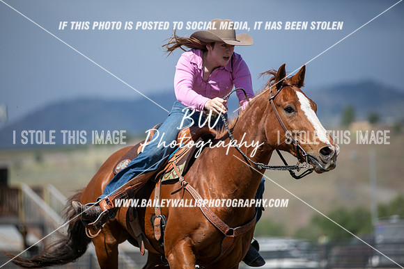 HS2_1382