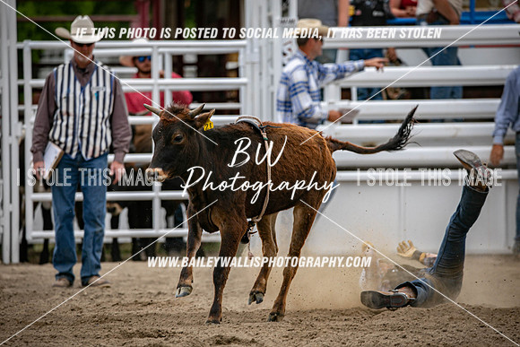 OKJ_3085