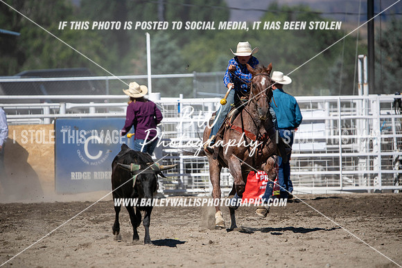 RR1_0991