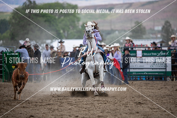 HS1_2316