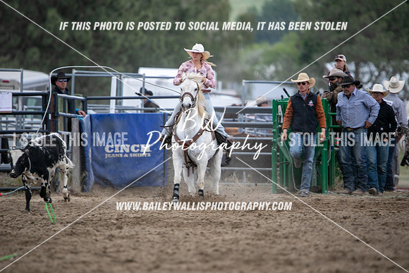 HS1_2284